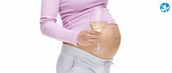 Вино во время беременности