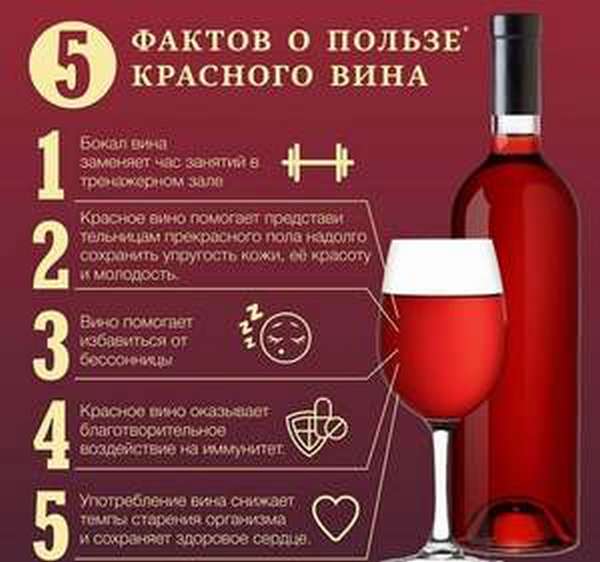 Чем богато качественное вино