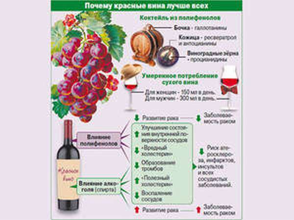  Чем полезно сухое красное вино