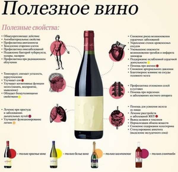 Чем полезно вино