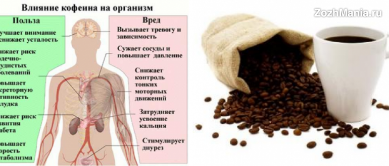 Кофе для печени и поджелудочной. Кофе и организм человека. Влияние кофе на организм человека. Влияние кофеина на организм человека. Полезное влияние кофеина на организм.